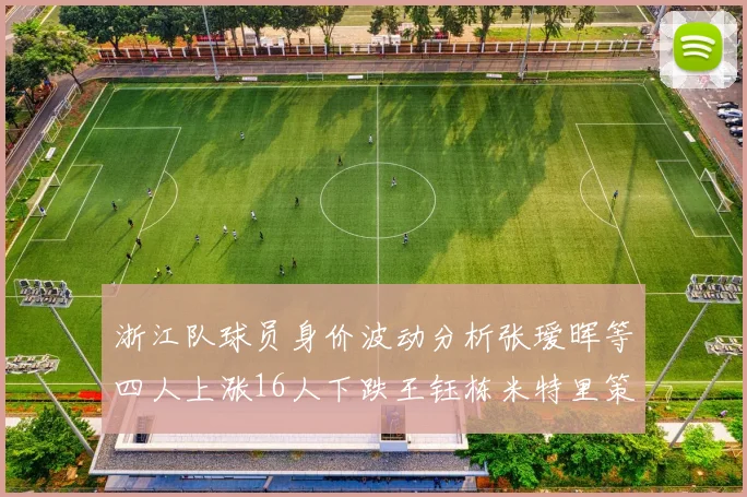 浙江队球员身价波动分析张瑷晖等四人上涨16人下跌王钰栋米特里策保持不变
