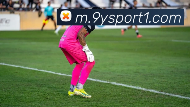 App Interface Preview