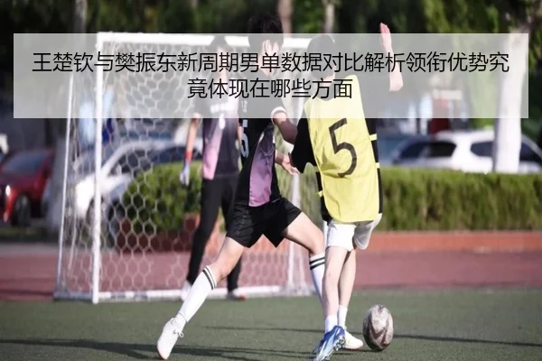 王楚钦与樊振东新周期男单数据对比解析领衔优势究竟体现在哪些方面 - jiuyou